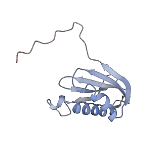 26634_7unv_k_v1-1
Pseudomonas aeruginosa 70S ribosome initiation complex bound to IF2-GDPCP (structure II-A)