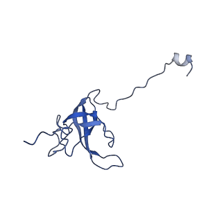 26634_7unv_l_v1-0
Pseudomonas aeruginosa 70S ribosome initiation complex bound to IF2-GDPCP (structure II-A)