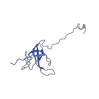 26634_7unv_l_v1-1
Pseudomonas aeruginosa 70S ribosome initiation complex bound to IF2-GDPCP (structure II-A)