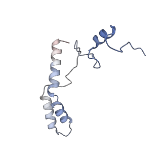26634_7unv_n_v1-0
Pseudomonas aeruginosa 70S ribosome initiation complex bound to IF2-GDPCP (structure II-A)