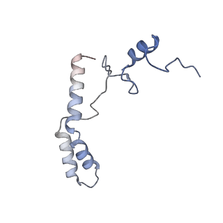 26634_7unv_n_v1-1
Pseudomonas aeruginosa 70S ribosome initiation complex bound to IF2-GDPCP (structure II-A)