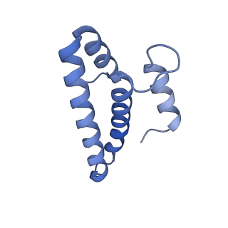 26634_7unv_o_v1-0
Pseudomonas aeruginosa 70S ribosome initiation complex bound to IF2-GDPCP (structure II-A)