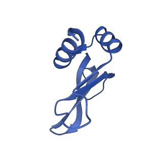 26634_7unv_p_v1-0
Pseudomonas aeruginosa 70S ribosome initiation complex bound to IF2-GDPCP (structure II-A)