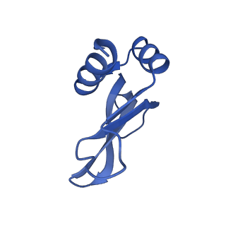 26634_7unv_p_v1-1
Pseudomonas aeruginosa 70S ribosome initiation complex bound to IF2-GDPCP (structure II-A)