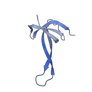 26634_7unv_q_v1-0
Pseudomonas aeruginosa 70S ribosome initiation complex bound to IF2-GDPCP (structure II-A)