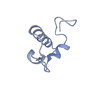 26634_7unv_r_v1-0
Pseudomonas aeruginosa 70S ribosome initiation complex bound to IF2-GDPCP (structure II-A)