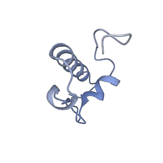 26634_7unv_r_v1-1
Pseudomonas aeruginosa 70S ribosome initiation complex bound to IF2-GDPCP (structure II-A)