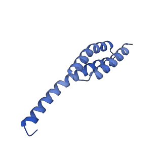 26634_7unv_t_v1-1
Pseudomonas aeruginosa 70S ribosome initiation complex bound to IF2-GDPCP (structure II-A)