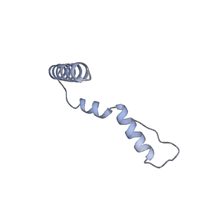 26634_7unv_u_v1-0
Pseudomonas aeruginosa 70S ribosome initiation complex bound to IF2-GDPCP (structure II-A)