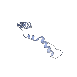 26634_7unv_u_v1-1
Pseudomonas aeruginosa 70S ribosome initiation complex bound to IF2-GDPCP (structure II-A)