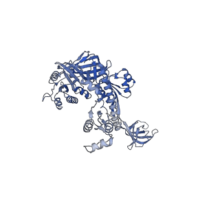 26634_7unv_x_v1-1
Pseudomonas aeruginosa 70S ribosome initiation complex bound to IF2-GDPCP (structure II-A)