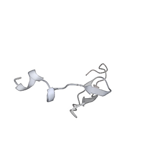 26635_7unw_3_v1-0
Pseudomonas aeruginosa 70S ribosome initiation complex bound to IF2-GDPCP (structure II-B)