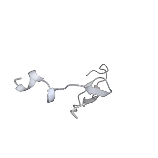 26635_7unw_3_v1-1
Pseudomonas aeruginosa 70S ribosome initiation complex bound to IF2-GDPCP (structure II-B)