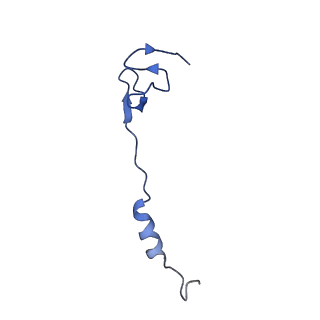 26635_7unw_4_v1-0
Pseudomonas aeruginosa 70S ribosome initiation complex bound to IF2-GDPCP (structure II-B)
