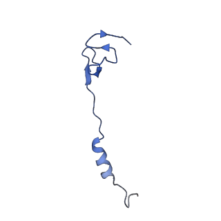 26635_7unw_4_v1-1
Pseudomonas aeruginosa 70S ribosome initiation complex bound to IF2-GDPCP (structure II-B)