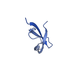 26635_7unw_5_v1-0
Pseudomonas aeruginosa 70S ribosome initiation complex bound to IF2-GDPCP (structure II-B)