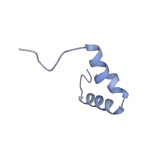 26635_7unw_6_v1-0
Pseudomonas aeruginosa 70S ribosome initiation complex bound to IF2-GDPCP (structure II-B)