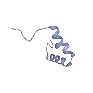 26635_7unw_6_v1-1
Pseudomonas aeruginosa 70S ribosome initiation complex bound to IF2-GDPCP (structure II-B)