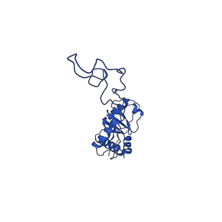 26635_7unw_E_v1-1
Pseudomonas aeruginosa 70S ribosome initiation complex bound to IF2-GDPCP (structure II-B)