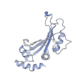 26635_7unw_F_v1-0
Pseudomonas aeruginosa 70S ribosome initiation complex bound to IF2-GDPCP (structure II-B)