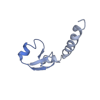 26635_7unw_H_v1-1
Pseudomonas aeruginosa 70S ribosome initiation complex bound to IF2-GDPCP (structure II-B)