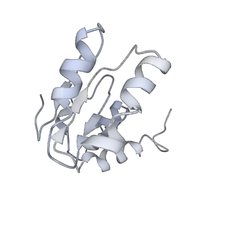 26635_7unw_I_v1-0
Pseudomonas aeruginosa 70S ribosome initiation complex bound to IF2-GDPCP (structure II-B)
