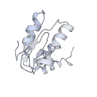 26635_7unw_I_v1-1
Pseudomonas aeruginosa 70S ribosome initiation complex bound to IF2-GDPCP (structure II-B)