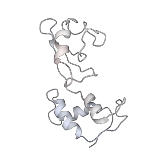 26635_7unw_J_v1-0
Pseudomonas aeruginosa 70S ribosome initiation complex bound to IF2-GDPCP (structure II-B)