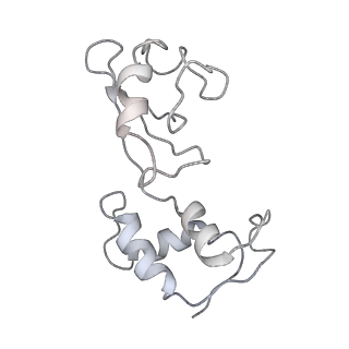 26635_7unw_J_v1-1
Pseudomonas aeruginosa 70S ribosome initiation complex bound to IF2-GDPCP (structure II-B)