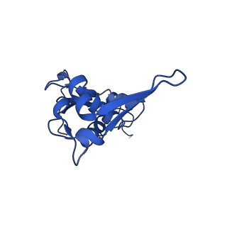 26635_7unw_L_v1-0
Pseudomonas aeruginosa 70S ribosome initiation complex bound to IF2-GDPCP (structure II-B)