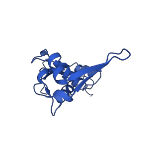 26635_7unw_L_v1-1
Pseudomonas aeruginosa 70S ribosome initiation complex bound to IF2-GDPCP (structure II-B)