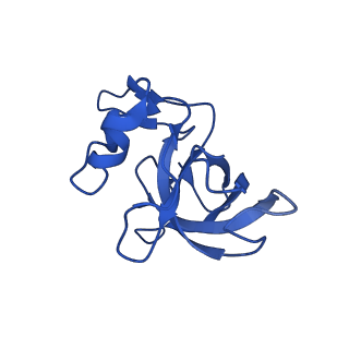 26635_7unw_M_v1-0
Pseudomonas aeruginosa 70S ribosome initiation complex bound to IF2-GDPCP (structure II-B)