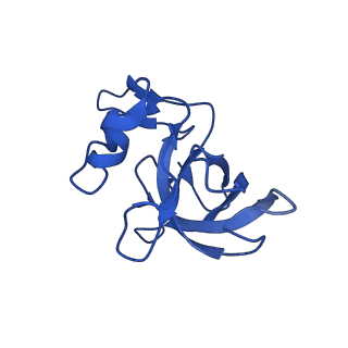 26635_7unw_M_v1-1
Pseudomonas aeruginosa 70S ribosome initiation complex bound to IF2-GDPCP (structure II-B)