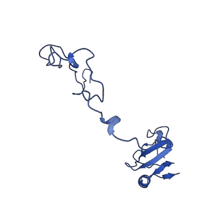 26635_7unw_N_v1-0
Pseudomonas aeruginosa 70S ribosome initiation complex bound to IF2-GDPCP (structure II-B)