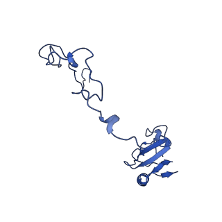 26635_7unw_N_v1-1
Pseudomonas aeruginosa 70S ribosome initiation complex bound to IF2-GDPCP (structure II-B)