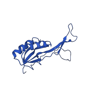 26635_7unw_O_v1-0
Pseudomonas aeruginosa 70S ribosome initiation complex bound to IF2-GDPCP (structure II-B)