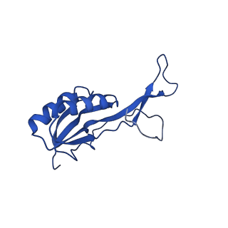 26635_7unw_O_v1-1
Pseudomonas aeruginosa 70S ribosome initiation complex bound to IF2-GDPCP (structure II-B)