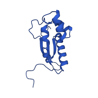 26635_7unw_P_v1-1
Pseudomonas aeruginosa 70S ribosome initiation complex bound to IF2-GDPCP (structure II-B)