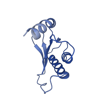 26635_7unw_Q_v1-0
Pseudomonas aeruginosa 70S ribosome initiation complex bound to IF2-GDPCP (structure II-B)