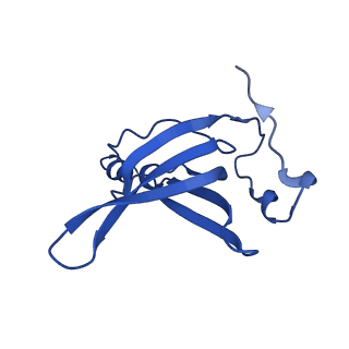 26635_7unw_R_v1-1
Pseudomonas aeruginosa 70S ribosome initiation complex bound to IF2-GDPCP (structure II-B)