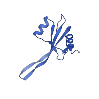 26635_7unw_V_v1-0
Pseudomonas aeruginosa 70S ribosome initiation complex bound to IF2-GDPCP (structure II-B)