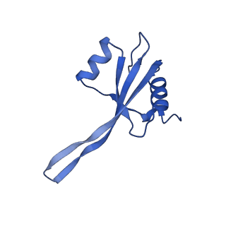 26635_7unw_V_v1-1
Pseudomonas aeruginosa 70S ribosome initiation complex bound to IF2-GDPCP (structure II-B)