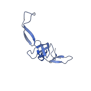 26635_7unw_W_v1-1
Pseudomonas aeruginosa 70S ribosome initiation complex bound to IF2-GDPCP (structure II-B)