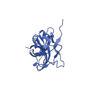 26635_7unw_X_v1-0
Pseudomonas aeruginosa 70S ribosome initiation complex bound to IF2-GDPCP (structure II-B)