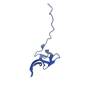 26635_7unw_Y_v1-0
Pseudomonas aeruginosa 70S ribosome initiation complex bound to IF2-GDPCP (structure II-B)