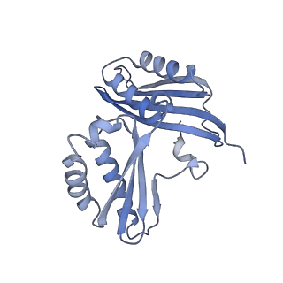 26635_7unw_c_v1-0
Pseudomonas aeruginosa 70S ribosome initiation complex bound to IF2-GDPCP (structure II-B)