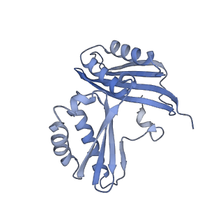 26635_7unw_c_v1-1
Pseudomonas aeruginosa 70S ribosome initiation complex bound to IF2-GDPCP (structure II-B)