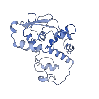 26635_7unw_d_v1-0
Pseudomonas aeruginosa 70S ribosome initiation complex bound to IF2-GDPCP (structure II-B)