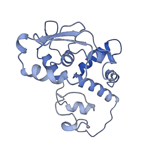 26635_7unw_d_v1-1
Pseudomonas aeruginosa 70S ribosome initiation complex bound to IF2-GDPCP (structure II-B)