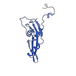 26635_7unw_e_v1-0
Pseudomonas aeruginosa 70S ribosome initiation complex bound to IF2-GDPCP (structure II-B)